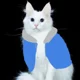 Cat Sans 