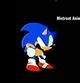 PETA VHS - Sonic