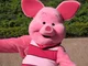 Piglet 
