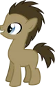 Filly Dr Whooves
