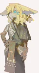 Zonai Link