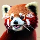 Gia the Red Panda
