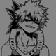 Katsuki Bakugou Br
