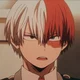 Shoto todoroki