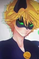 Future chat noir