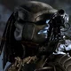 Predator 