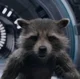 rocket racoon 