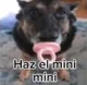Haz el Mini Mini