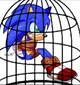 Captured Sonic