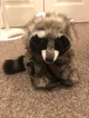 Tafty the Raccoon