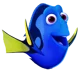 dory