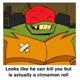 ROTTMNT Raphael 