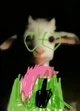Ralsei but weird