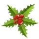 mistletoe