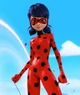 Ladybug 