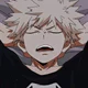 Katsuki Bakugou 