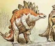 Stegosaurus 1