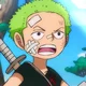 Zoro chiquito