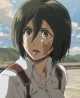 Mikasa ackerman