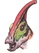 Parasaurolophus 