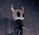 The Hollow Knight