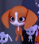 Bark