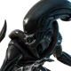 Xenomorph