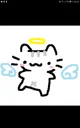 Angel Cat