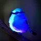 Blue bird