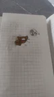 Second cat