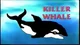 Killer Whale 