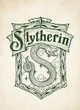 Slytherin group 