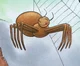 Spider 2