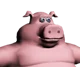 pig