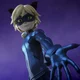 Chat Noir