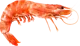 shrimp