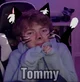Cat Tommyinnit 