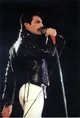 Freddie Mercury 