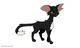 Ravenpaw