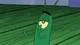 plankton