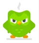 Duolingo 