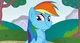Rainbow Dash Daisuki