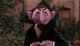 count von count