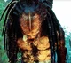 Predator