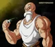 Master Roshi 