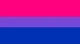 Bisexual 