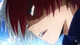 Shoto Todoroki 