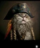 Pirate cat 