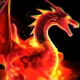 Fire dragon