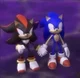 Sonic and shadow